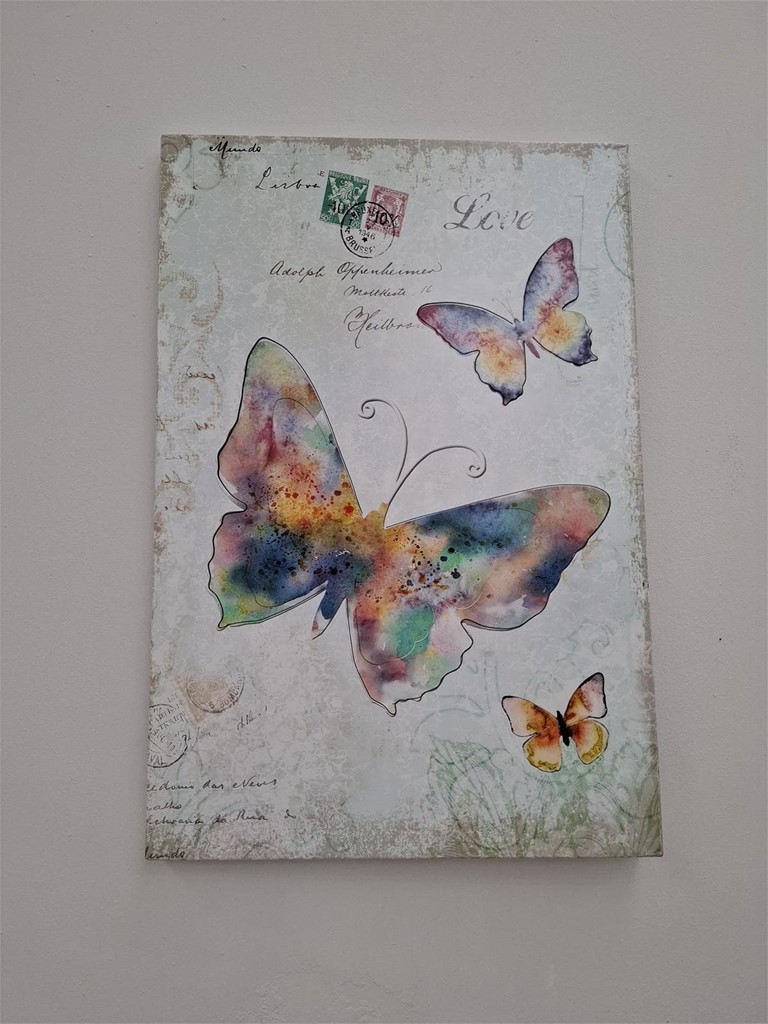 Foto 1 CUADRO MARIPOSAS