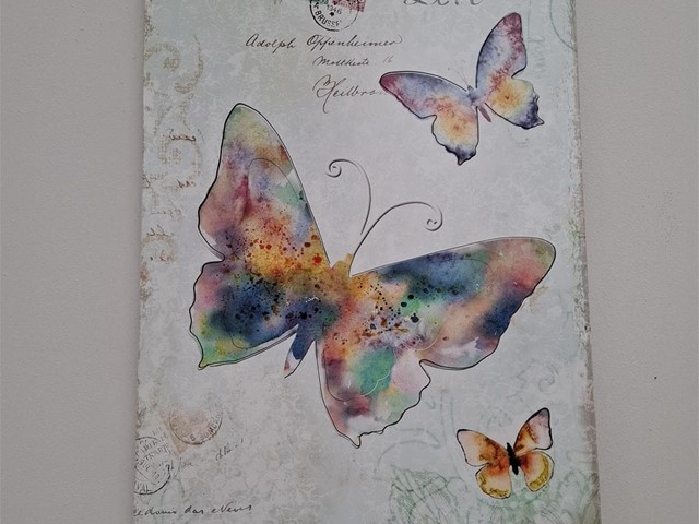 CUADRO MARIPOSAS